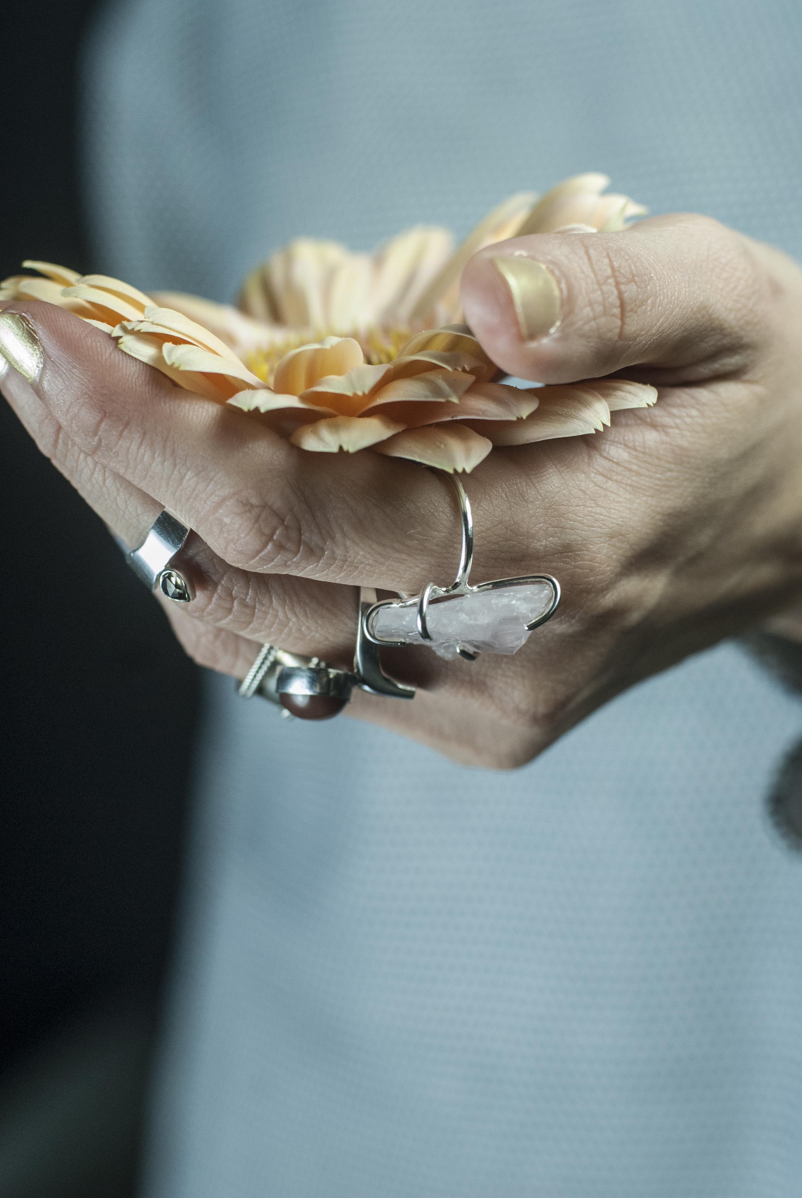 elha-foto gustavo coles-anillos varios